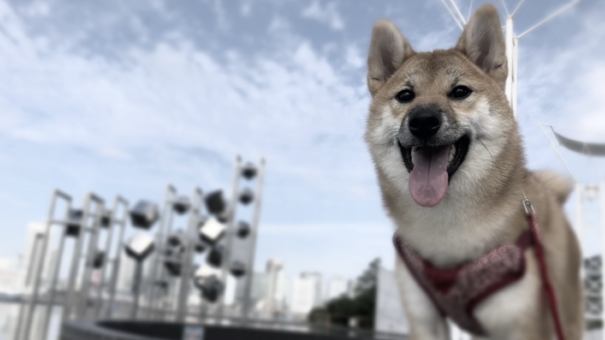 対応エリア